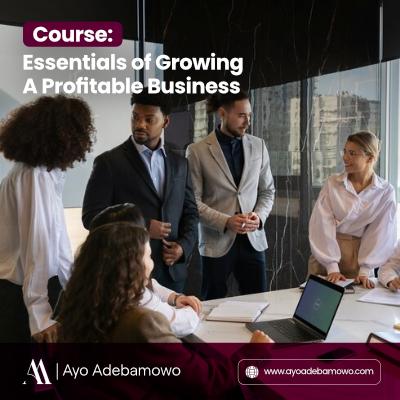 Essentials Of Growing A Profitable Business